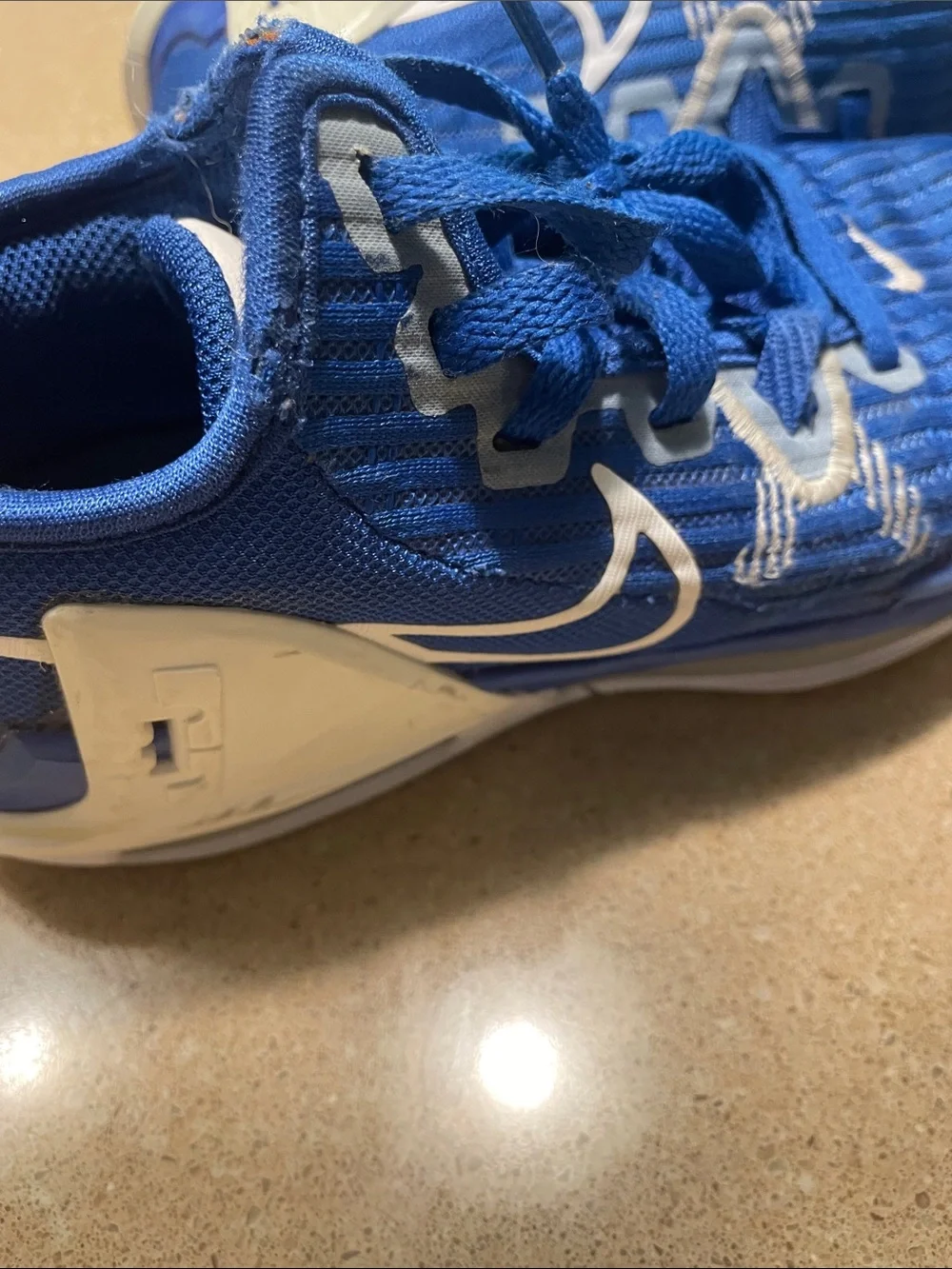 Nike Lebron Witness Kids Blue and White Athletic Sneakers